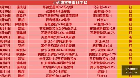 推荐 2026前瞻葡超焦点对决：卡沙比亚本菲卡赛况解读指南